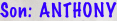 shapeimage_4_link_2